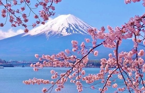 Circuit Splendeurs du Japon - 5