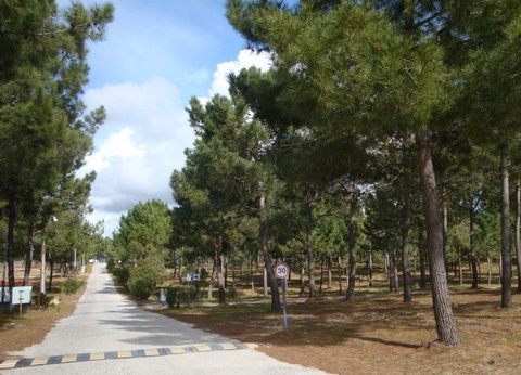 Camping Sitava Milfontes, 3* - 20