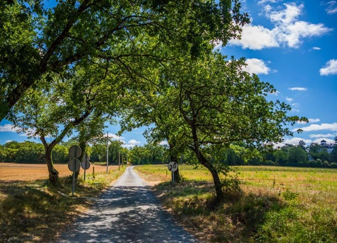 Camping D'auberoche, 3* - 39