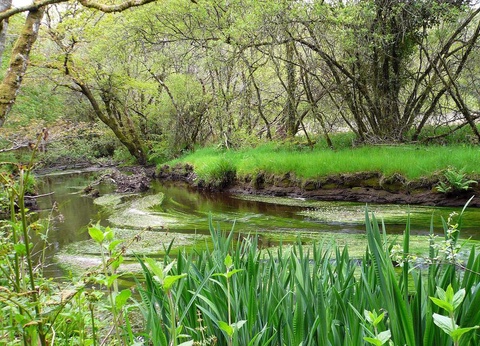 Camping La Riviere D'Argent, 3* - 52