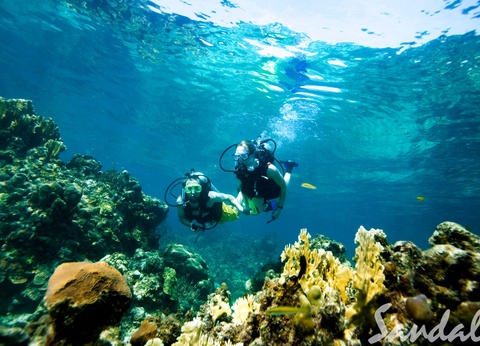 Hôtel Sandals Montego Bay 5* - 100