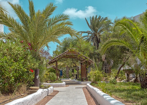 Hôtel Fiesta Beach 4* - 3