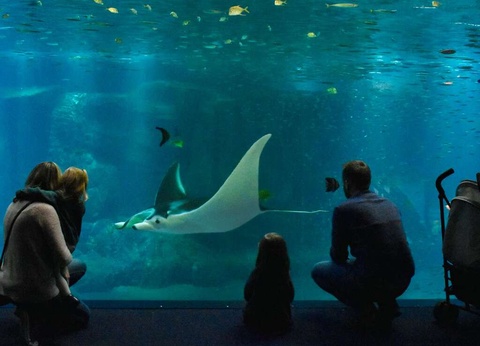 Séjour familial avec entrée à l'Aquarium Nausicaa - 3* - 24