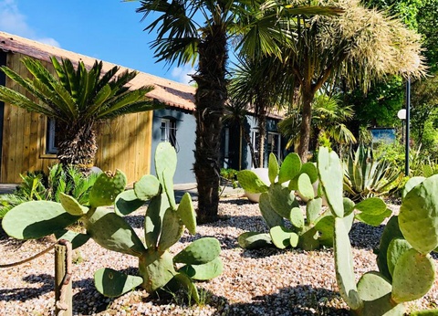 Camping Kabana Village, 4* - 16