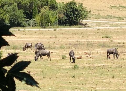 Camping La Grange Neuve, 3* - 28