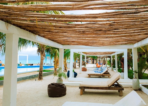 Jambo Resort by Mambo Hotels 4* - 10