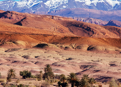 Entre Médina et Désert À la Découverte du Maroc Authentique - 8