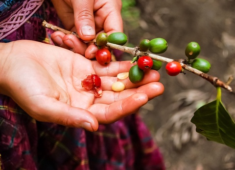 Circuit Tierra Maya - 2