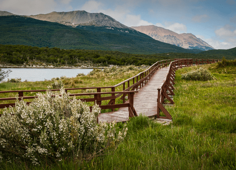 Circuit Grand Tour Argentin, Terre de Feu, les Andes et Iguazu - 37