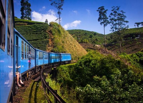 Carpe Diem au Sri Lanka - 21