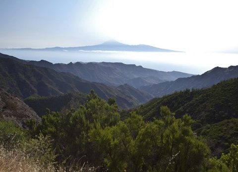 Combiné circuit et hôtel Tour Canario et extension 3 nuits séjour Framissima Allegro Isora 4* - 4