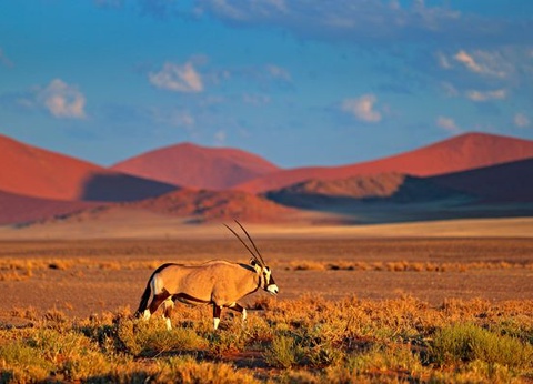 Splendeurs de Namibie et Séjour Chobe et Chutes Victoria 16J/13N - 11