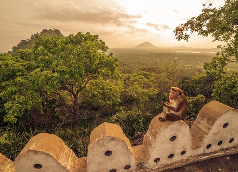 Circuit Le Classique De Ceylan 4* - 8