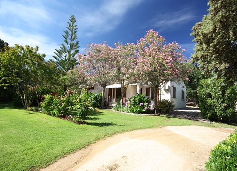 Résidence Casa Oleanda 3* ( avec vols réguliers ) - 17