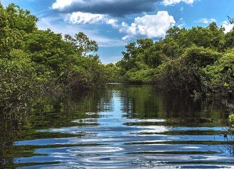 Circuit sur un air de samba et Extension Manaus - 10