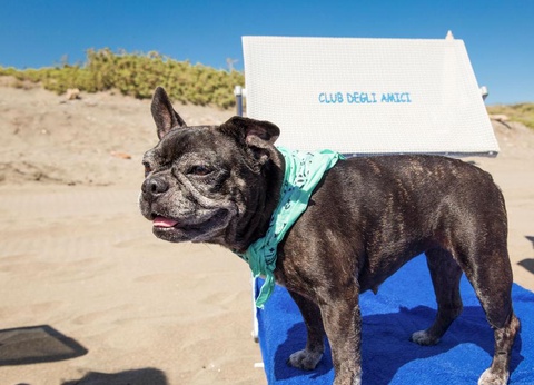 Gitavillage Club degli Amici - 10