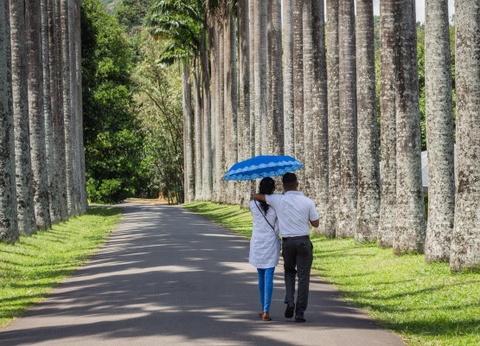 Circuit Splendeurs Insolites de Ceylan - 12
