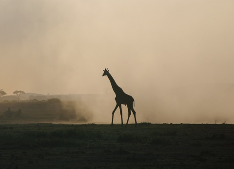 Hôtel Severin Sea Lodge 4* - 29