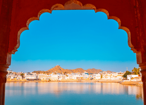 Circuit Le livre de la Jungle, entre oiseaux et tigres, en privatif - 6