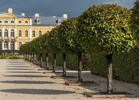 Circuit Individuel Cités baltes et péninsule de Courlande - 11