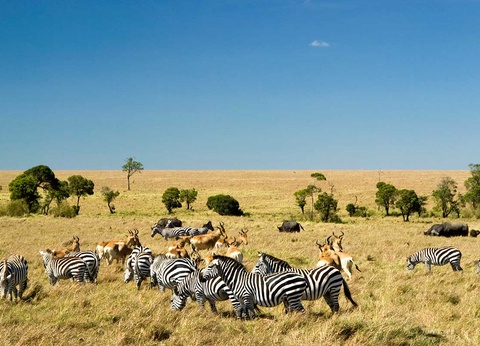 Circuit Safari Kilimandjaro 4* - 7