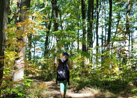 Camping OAKi, 3* - 14