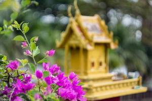 Séduction Thaïe + séjour Krabi 4* - Thailande - 2