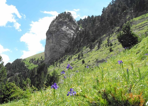 Résidence Azureva Piau-Engaly 2* - 8