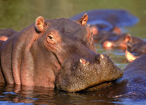 Circuit A la découverte de l'Afrique du Sud - 5