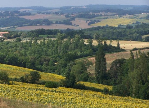 Camping Du Lac de Thoux - Ciela Village, 3* - 22