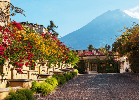 Circuit Guatemala, Sur la Piste du Quetzal et Plage - 5