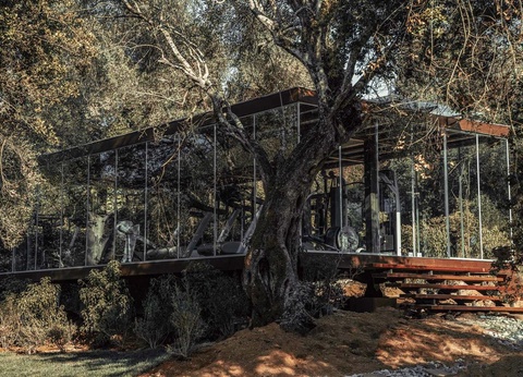 Hôtel Cook's Club Corfu 5* (Adult Only) - 9