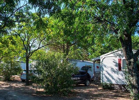 Domaine De Montrose - 25