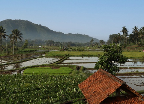 Circuit Irrésistible Bali 3/4* - 11