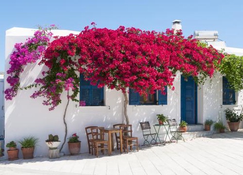 Circuit Combiné 3 îles : Mykonos - Paros - Santorin en 15 jours 2* - 4