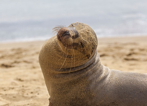 L'Equateur, de l'Amazonie aux Galapagos (petit groupe 2-16 pers.) - 9
