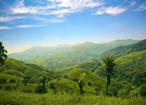 Circuit Beautés du Costa Rica et extension Puntarenas - 8