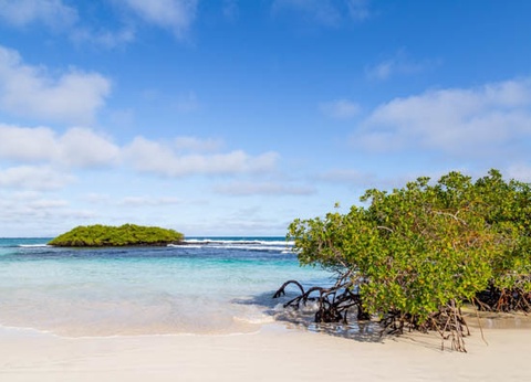 Circuit L'Équateur entre nature et authenticité + extension Galapagos (maximum 16 participants) - 21