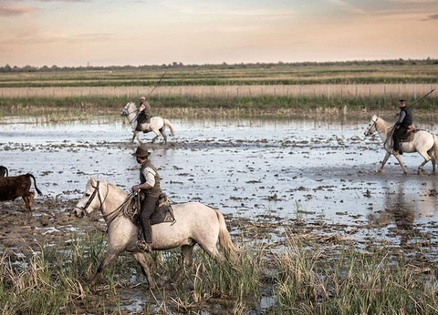 Camping Les Bois Flottés, 3* - 20