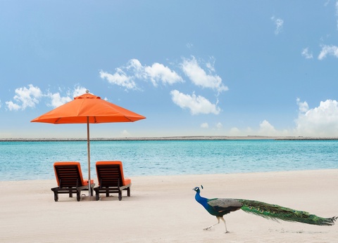 Ôclub Select JA Lake View 5* - 11