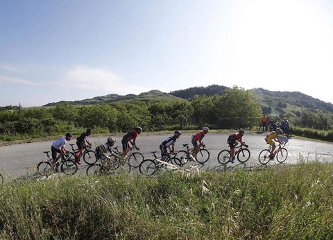 Camping Pineta sul Mare, 3* - 80