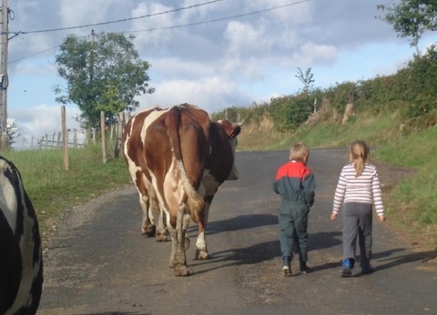 Camping L'Air du Temps, 3* - 8