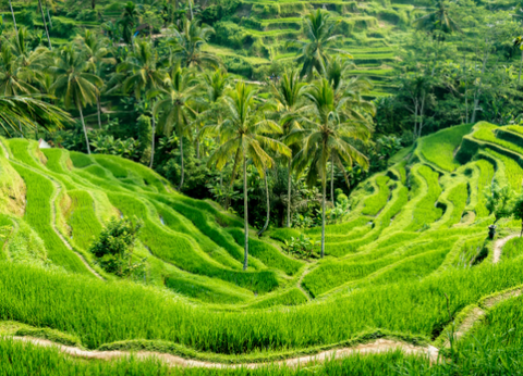 Circuit Odyssée de Java à Bali et Plage - 23