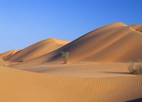 Impressions omanaises - 14