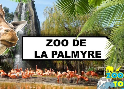 Flower Camping L'Abri-Côtier, 3* - 253