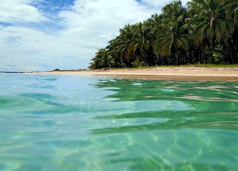 Circuit Merveilles du Costa Rica du Nord au Sud + Extension dans les Caraïbes et au Panama - 16