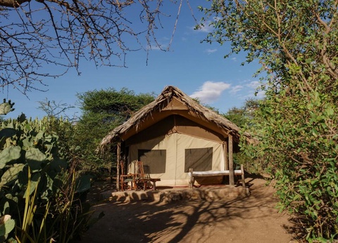 Safari Privatif - Aventure Tanzanienne - 36