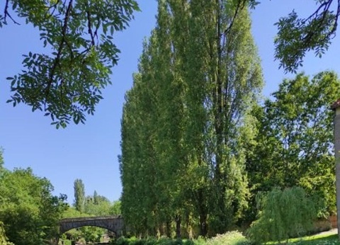 Camping Ty Nenez, 3* - 90