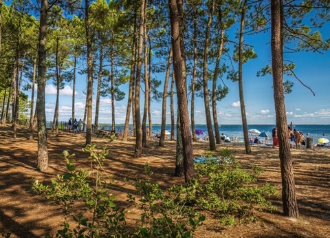 Camping L'Orée du Bois 4* - 28