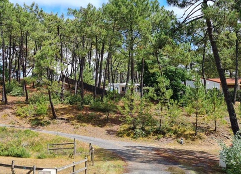 Domaine des Pins, 4* - 9